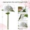 3 PCS White Hydrangea Artificial Flowers,Real Touch Faux Hydrangea Flowers and 3 PCS Butterflies for Hydrangea Decor,Floral Arrangements for Centerpiece Table Decorations,Home Decor,Funeral Flowers, Spring Flowers